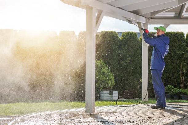 Best Soft Washing  in Soh Willard, UT